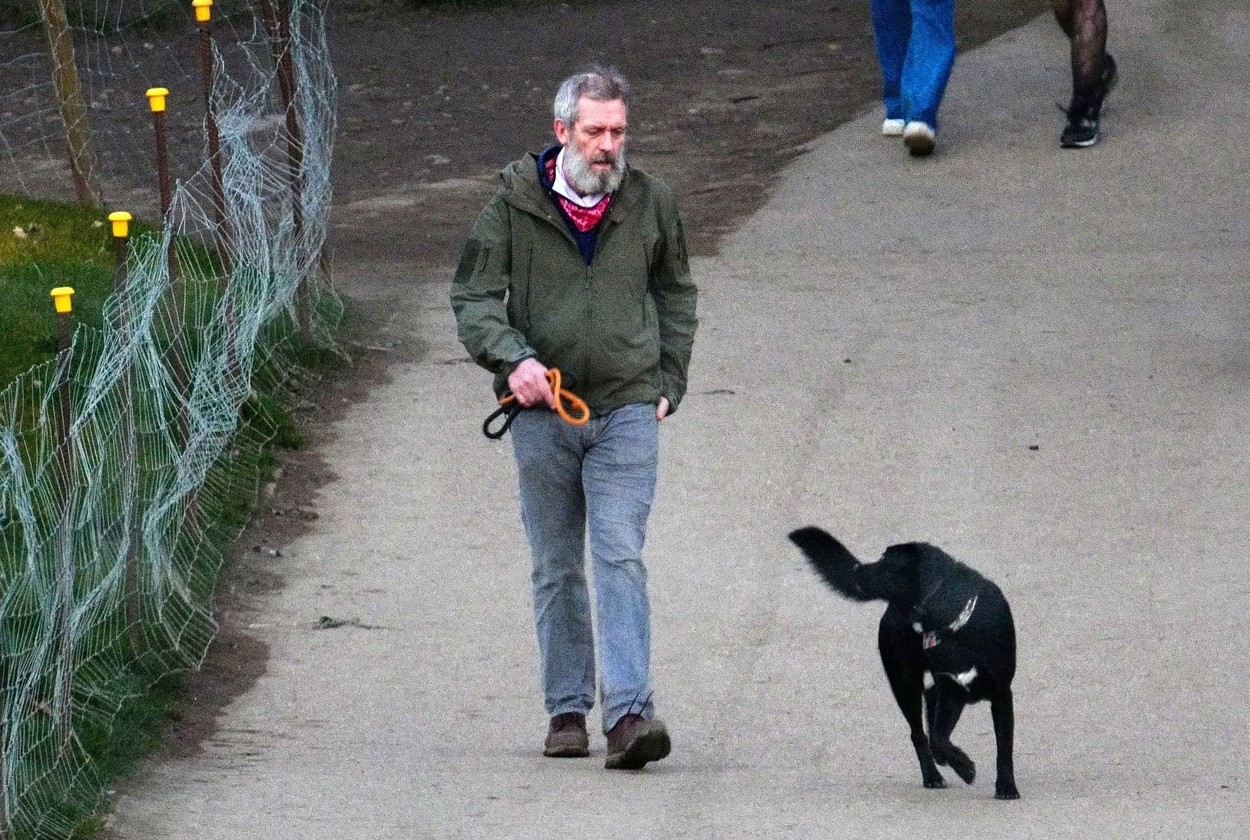 Hugh Laurie