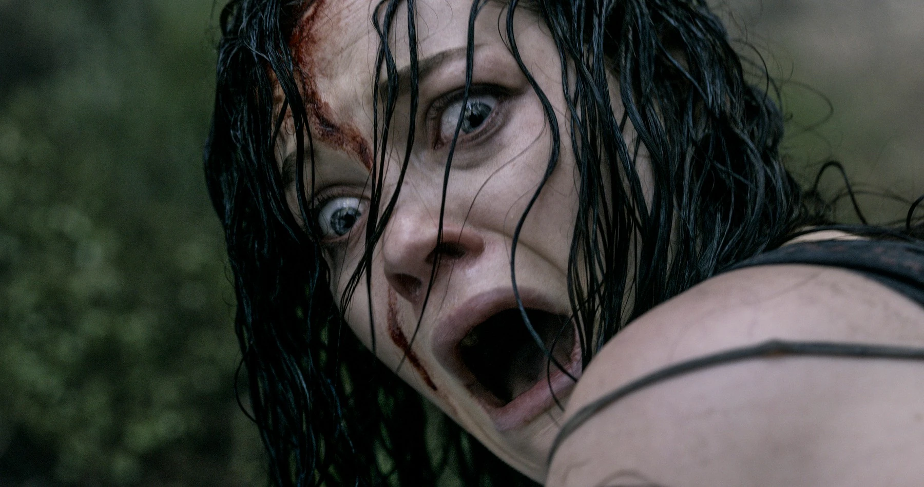 Evil Dead (2013)