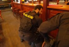 Policie v akci