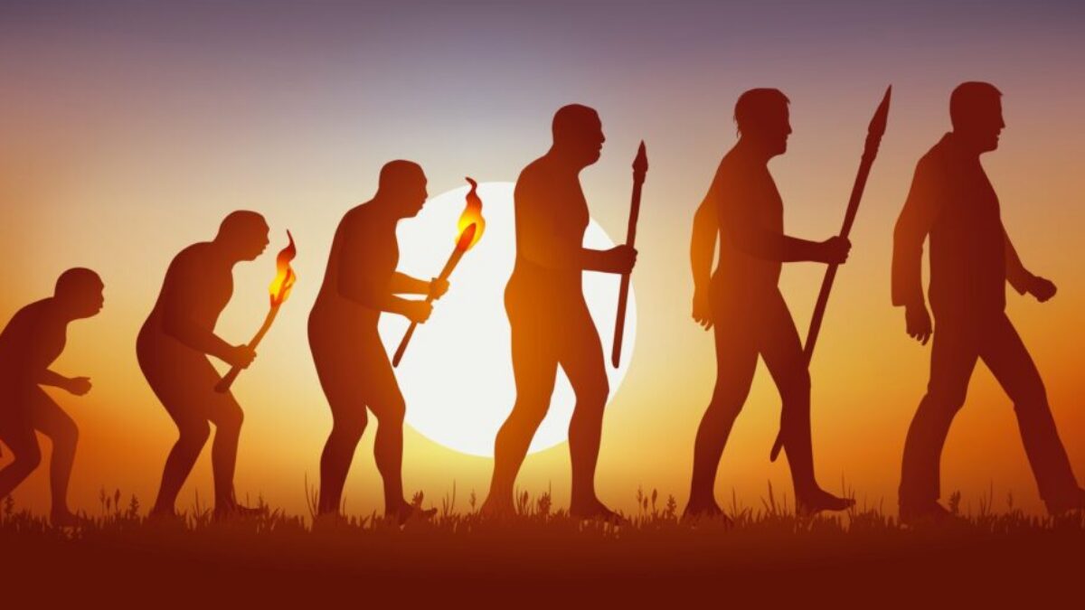 Concept of Darwins theory of evolution, illustrated with the transformation of the human silhouette from primitive man to modern man.