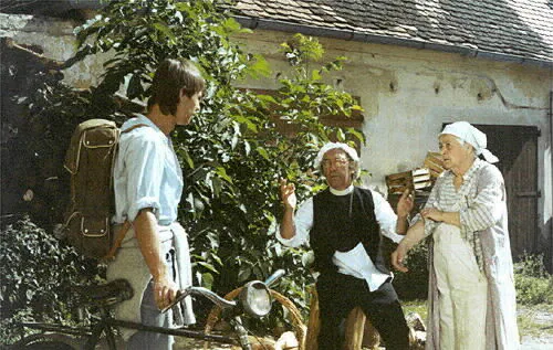 Slunce, seno, jahody