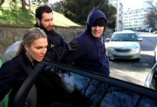 Policie v akci