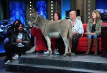 Show Jana Krause