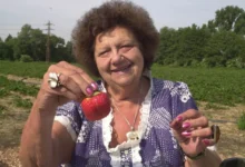 Helena Růžičková