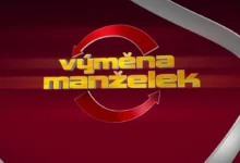 vymena manzelek logo