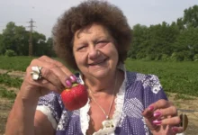Helena Růžičková