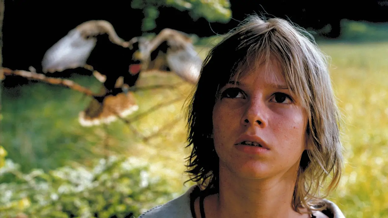 b9afe2b7-164c-4984-a02c-4cca284829d5 | TVGURU.cz Poznáte českou pohádku Král sokolů z roku 2000?