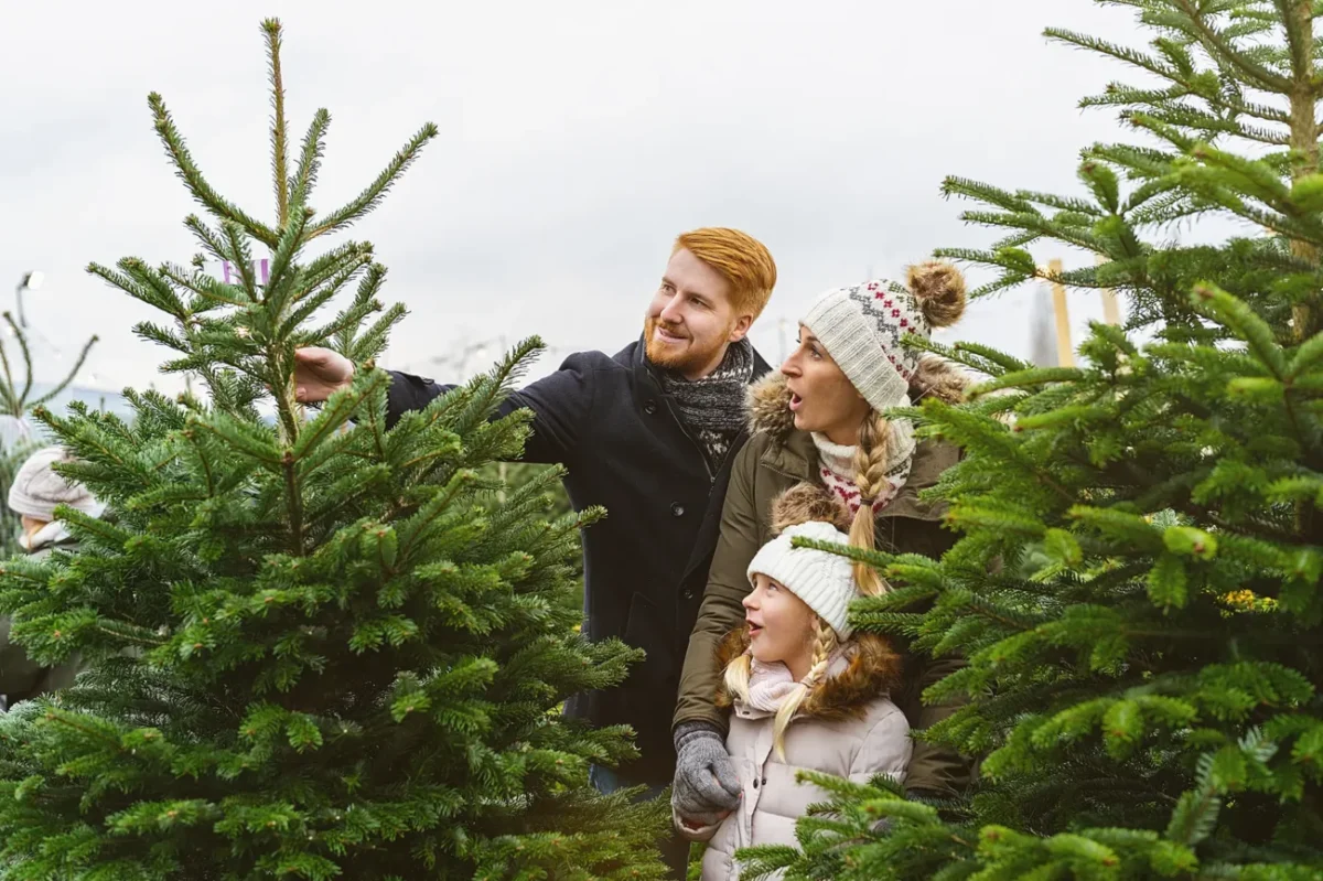rodina vybírá vánoční stromeček