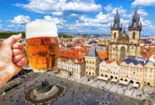 Pivo