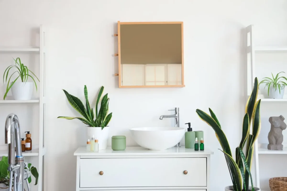 Rostliny v koupelně