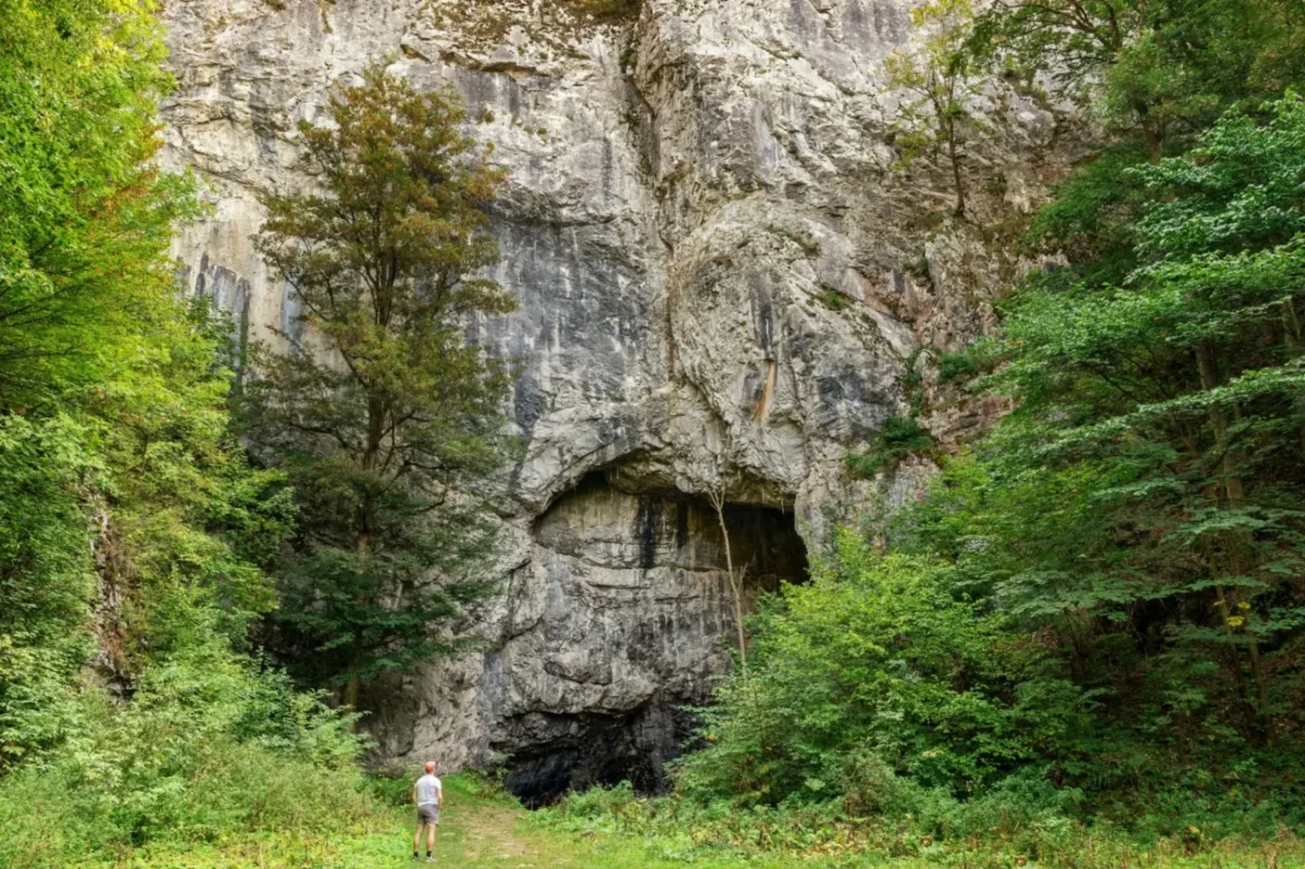 Pohled na Býčí skálu