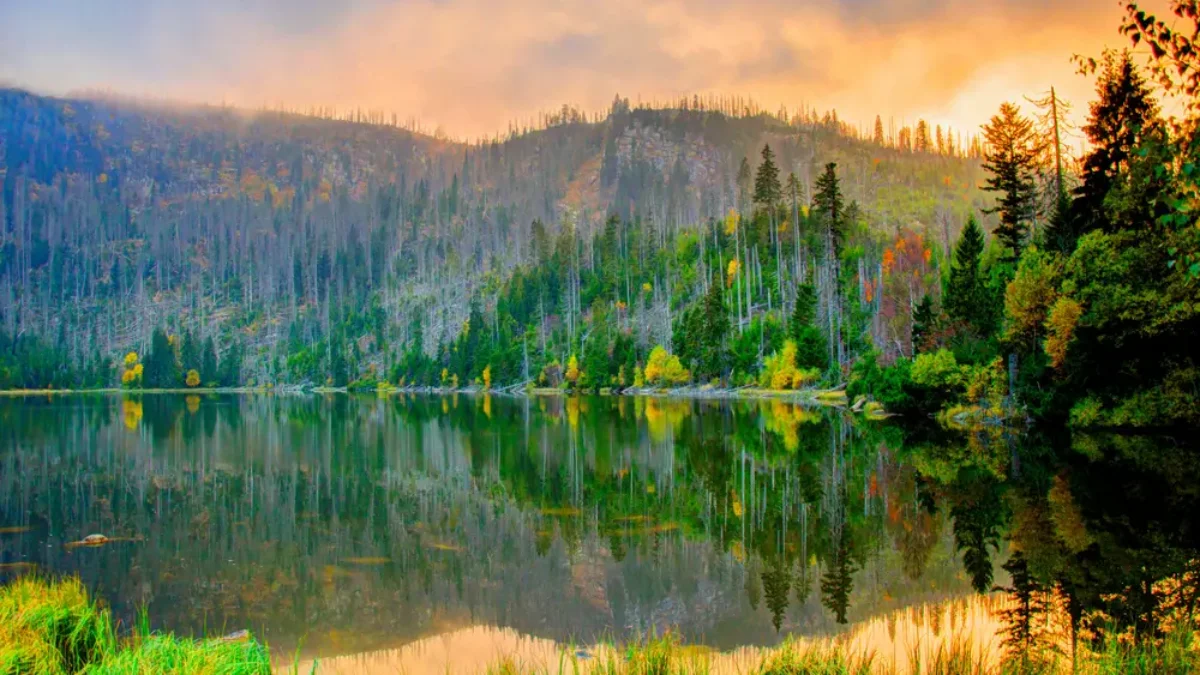 Pohled na ledovcové Plešné jezero