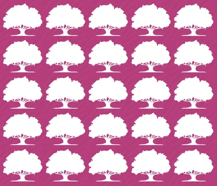 Najděte strom který se liší od ostatních