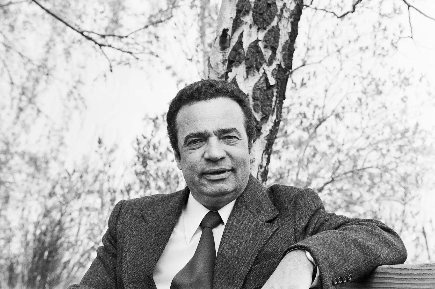 Vladimír Menšík