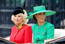 I dnes je královna manželka Camilla krásná dáma