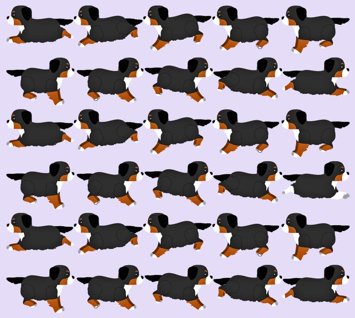 Optická hádanka složená z několika psů.