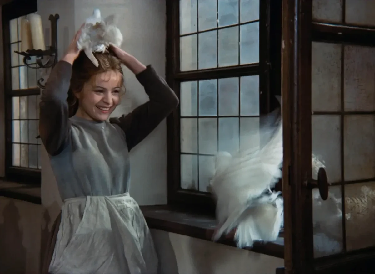 Libuše Šafránková