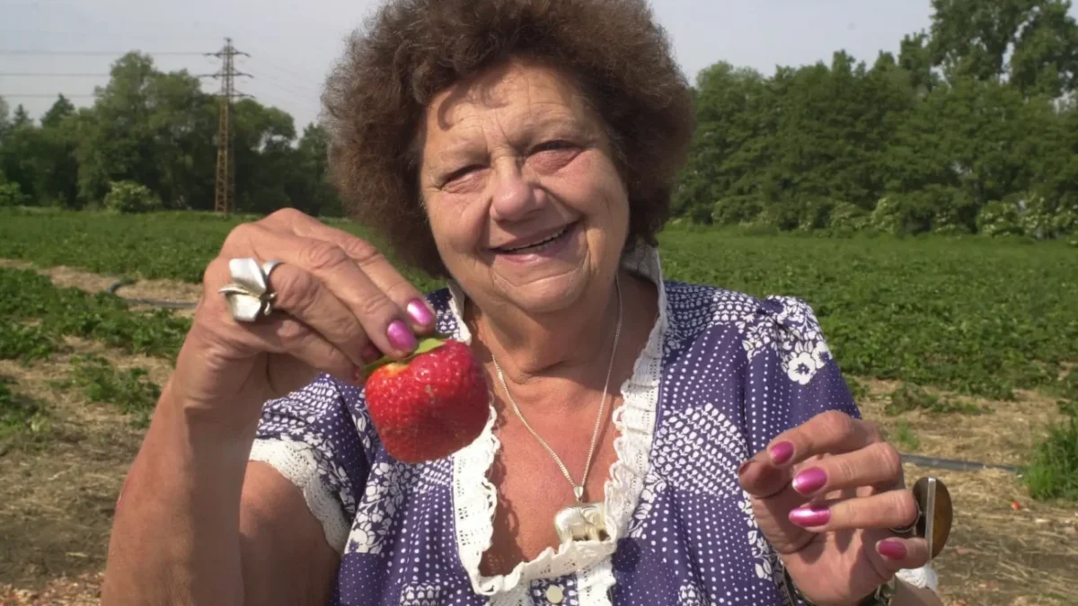 Helena Růžičková