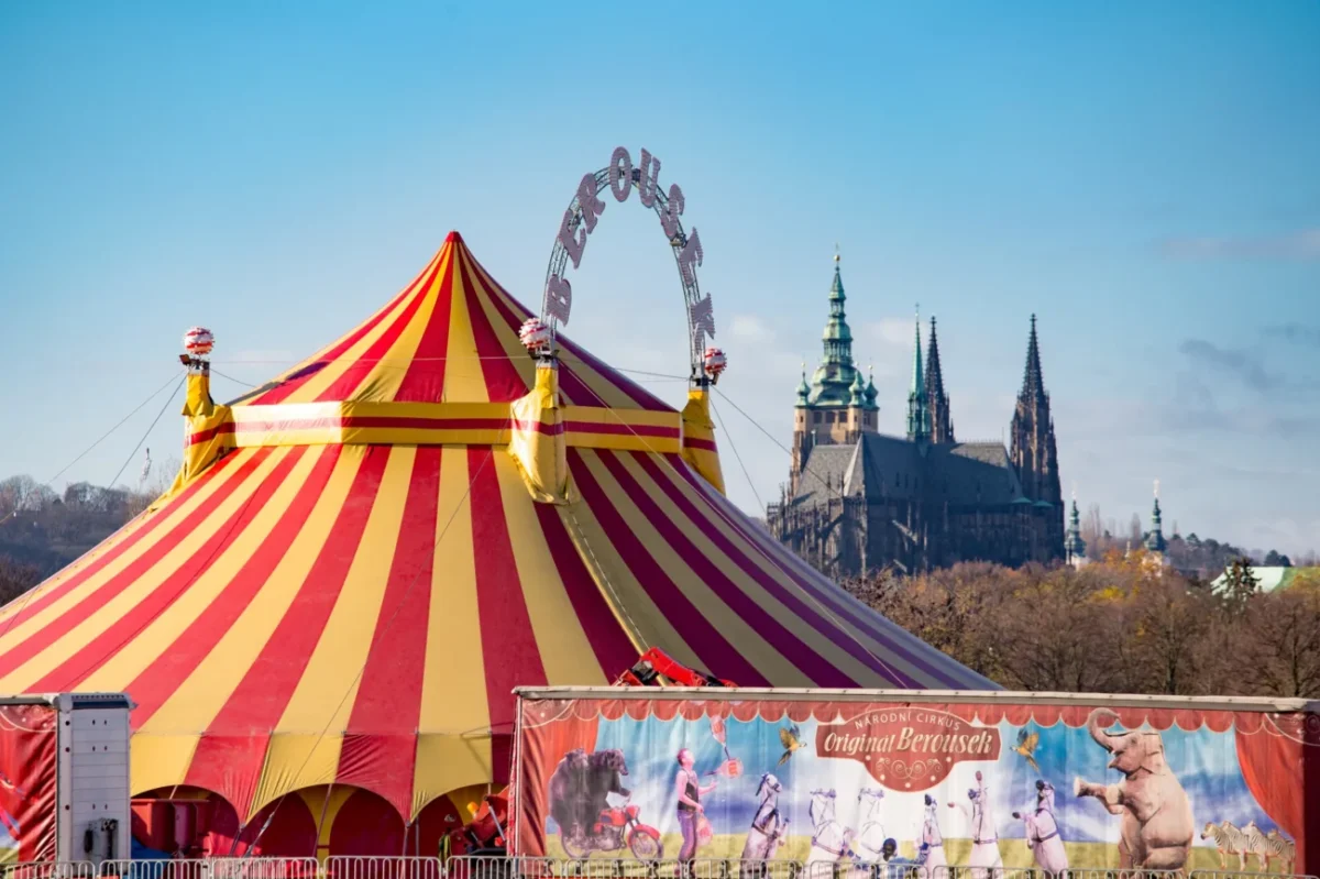 shutterstock_774300112-2