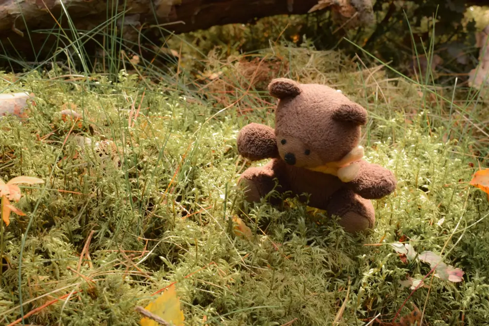 Ilustrativní obrázek plyšového medvídka v lese
