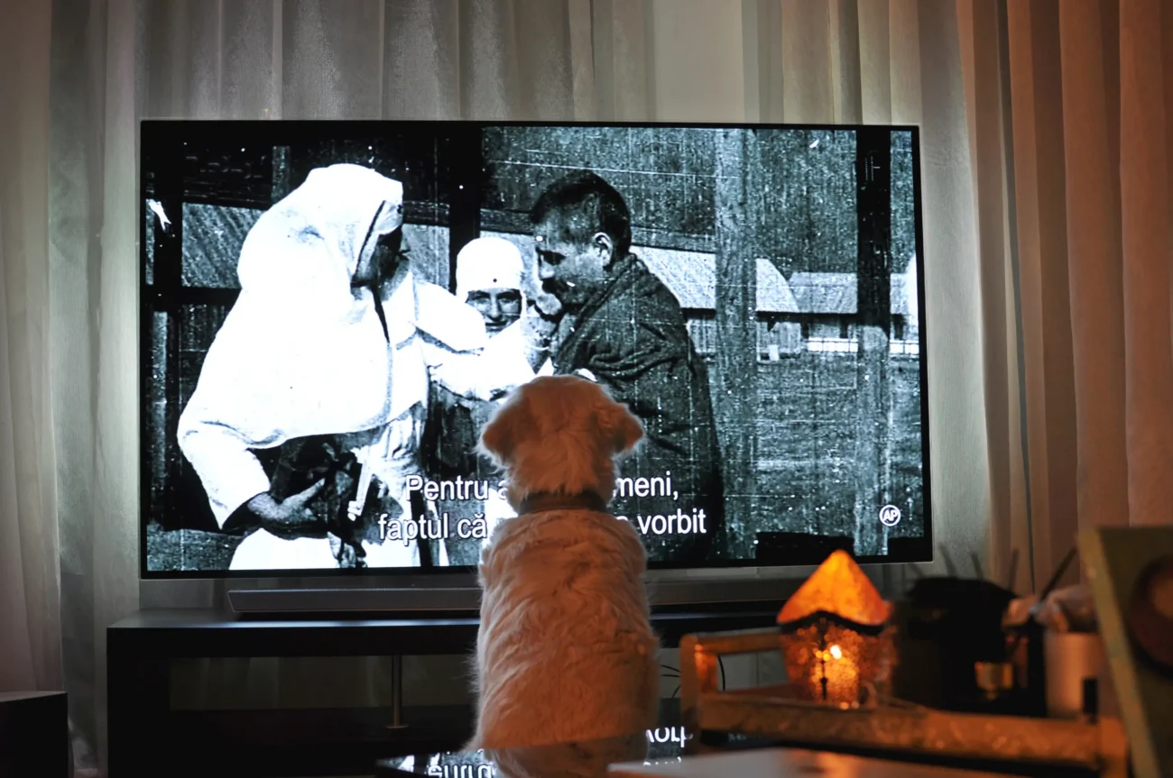 shutterstock_1246548865-2 | TVGURU.cz Pejsek se dívá na černobílý film v televizi.