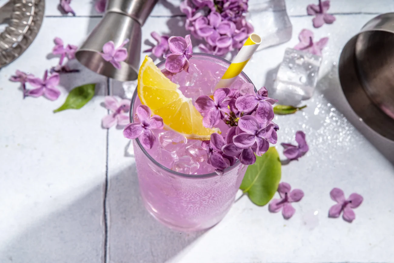 shutterstock_2285886517-2 | TVGURU.cz Šeříková limonáda.