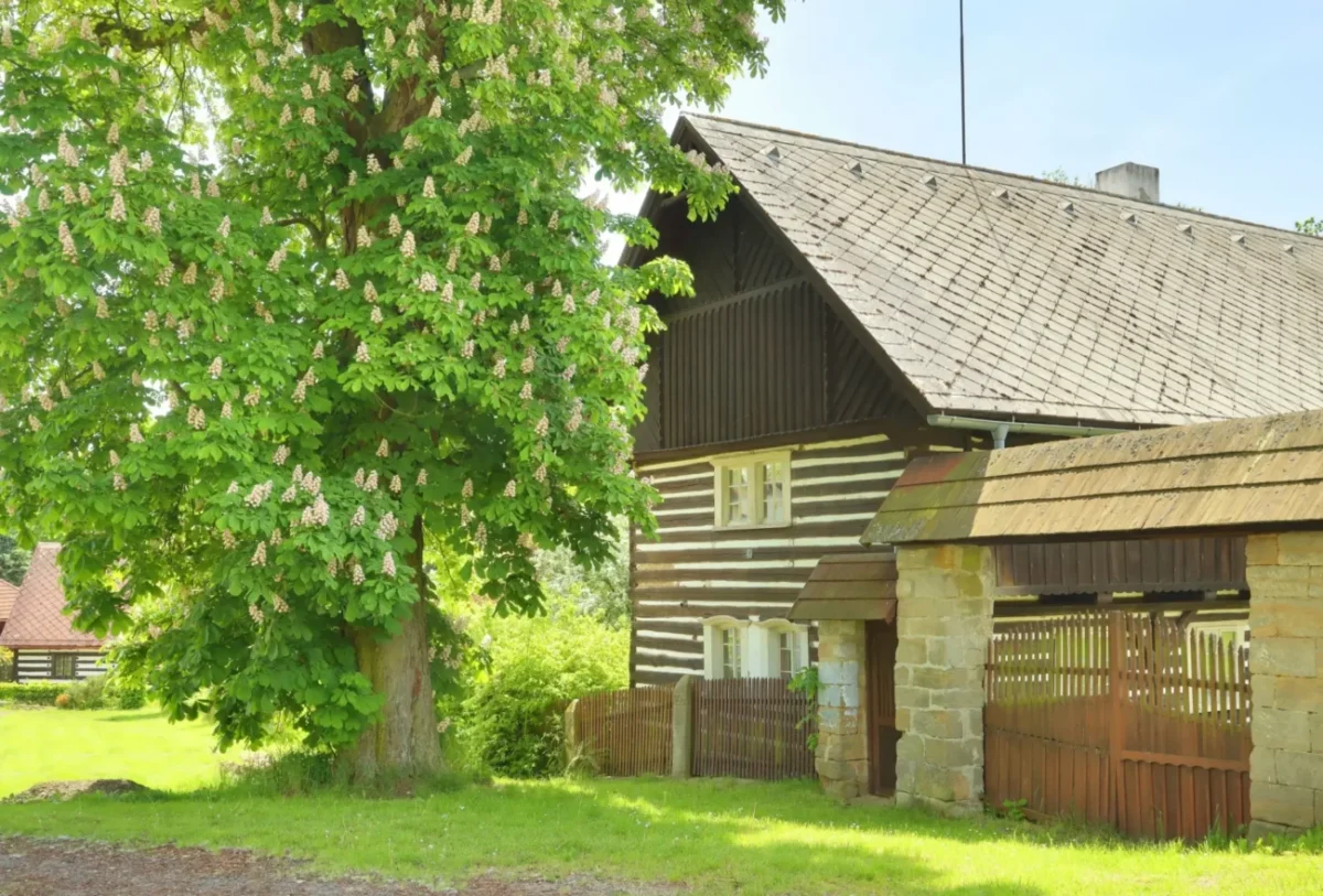 Ilustrativní obrázek starého dřevěného stavení