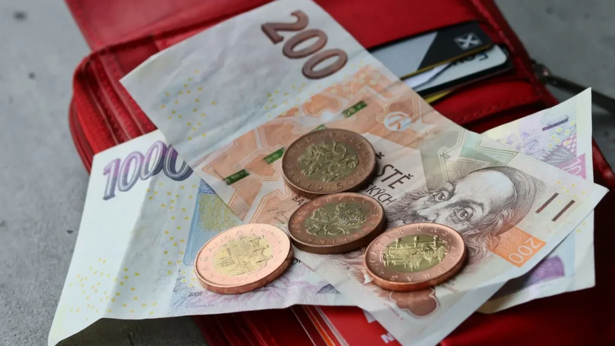 Češi platí každoročně koncesionářské poplatky