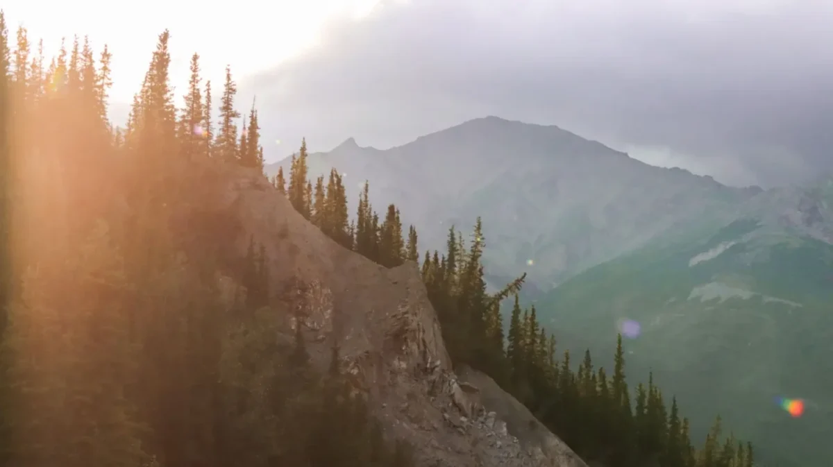 zalesněné hory aljašské divočiny zalité sluncem