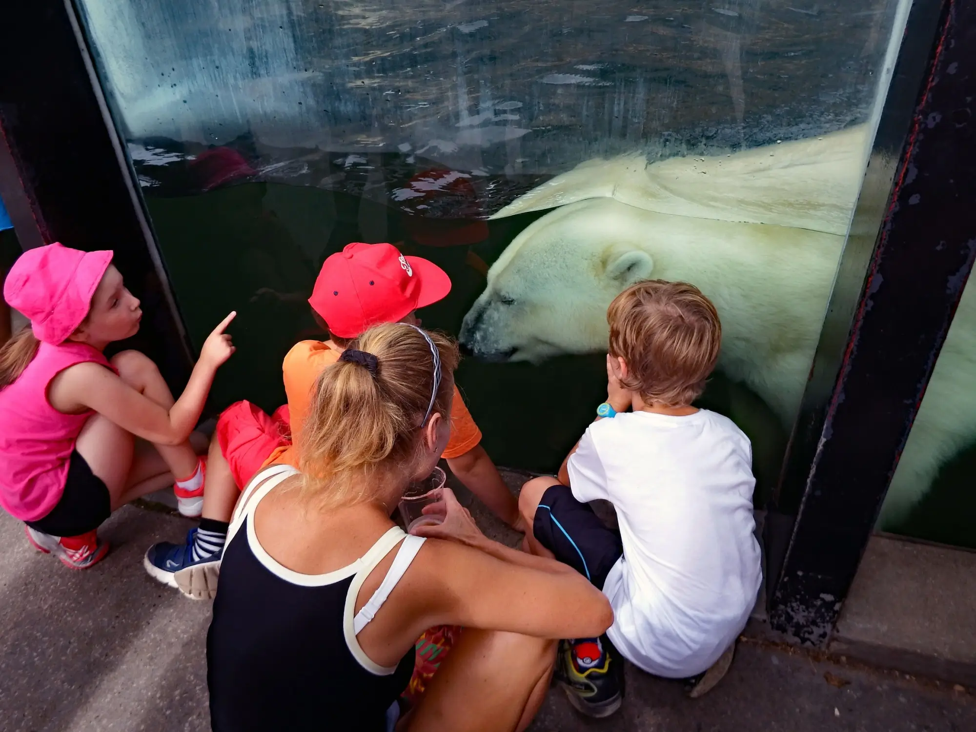 Shutterstock_1068540008 | TVGURU.cz pražská zoo