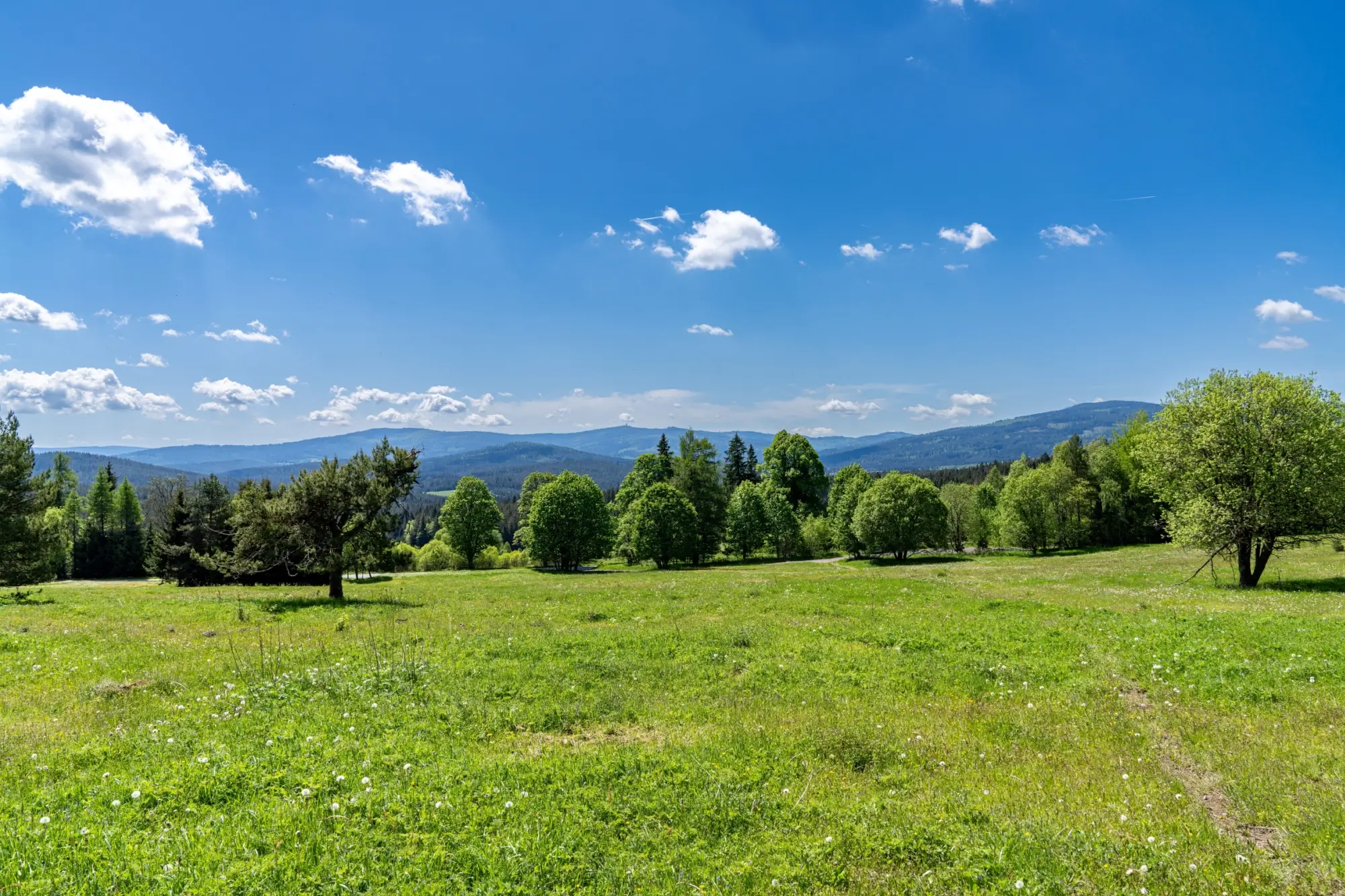 Shutterstock_2635248783 | TVGURU.cz slunečná Šumava