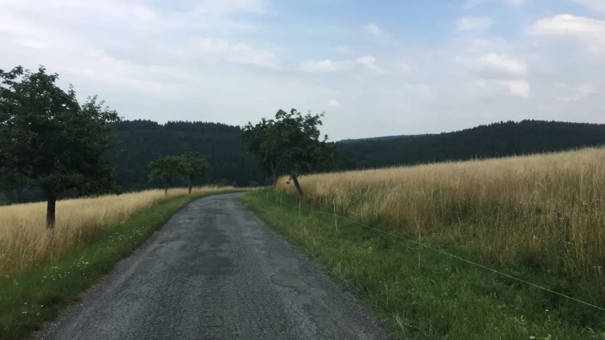 pole v Česku