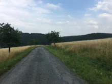 pole v Česku