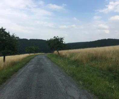 pole v Česku