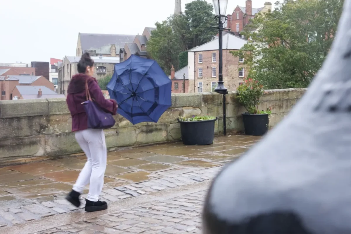 Shutterstock_2378855563