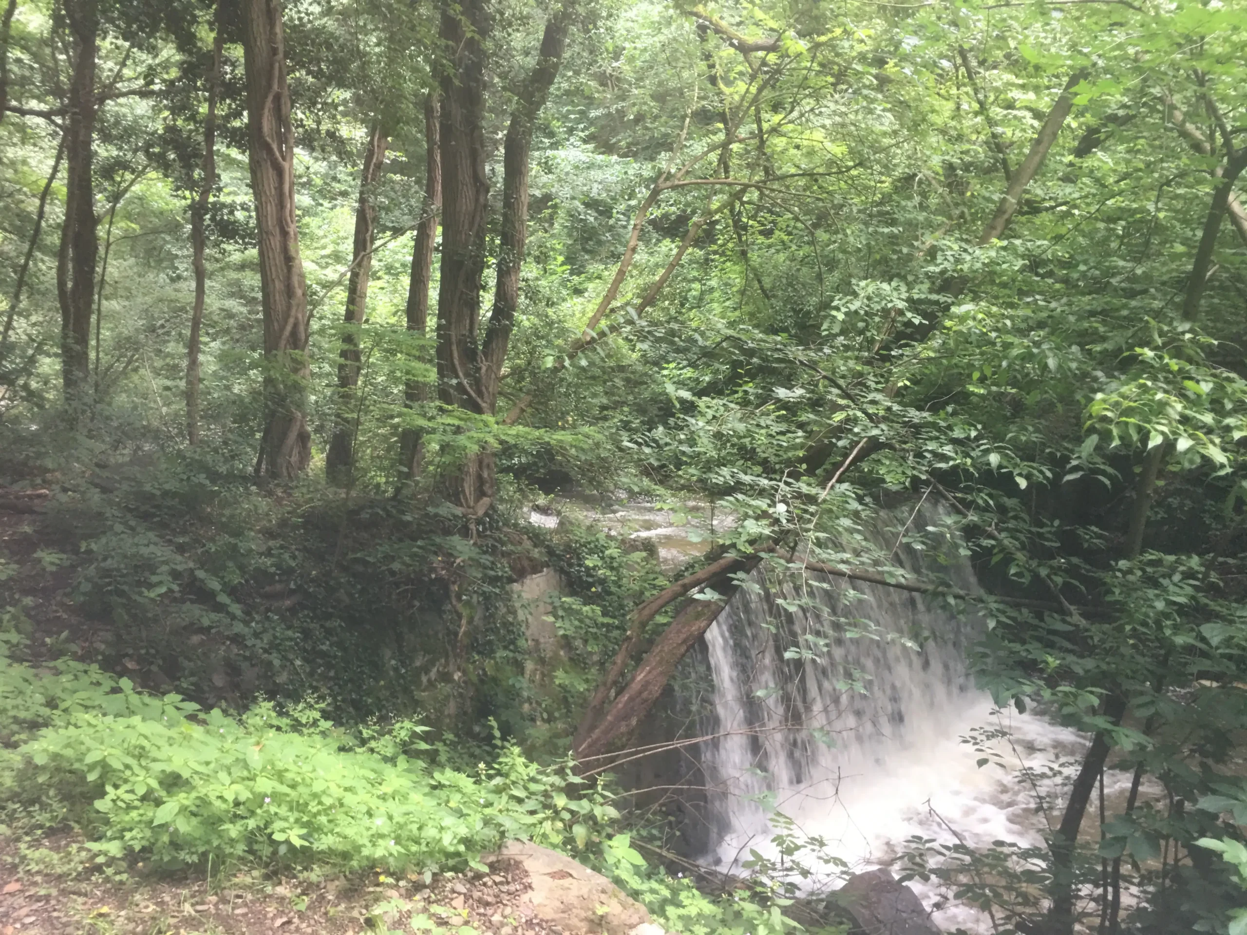 Dnešní pondělí není pro slabé povahy: Venku to bude tak divoké, že i déšť znejistí a vezme si pláštěnku