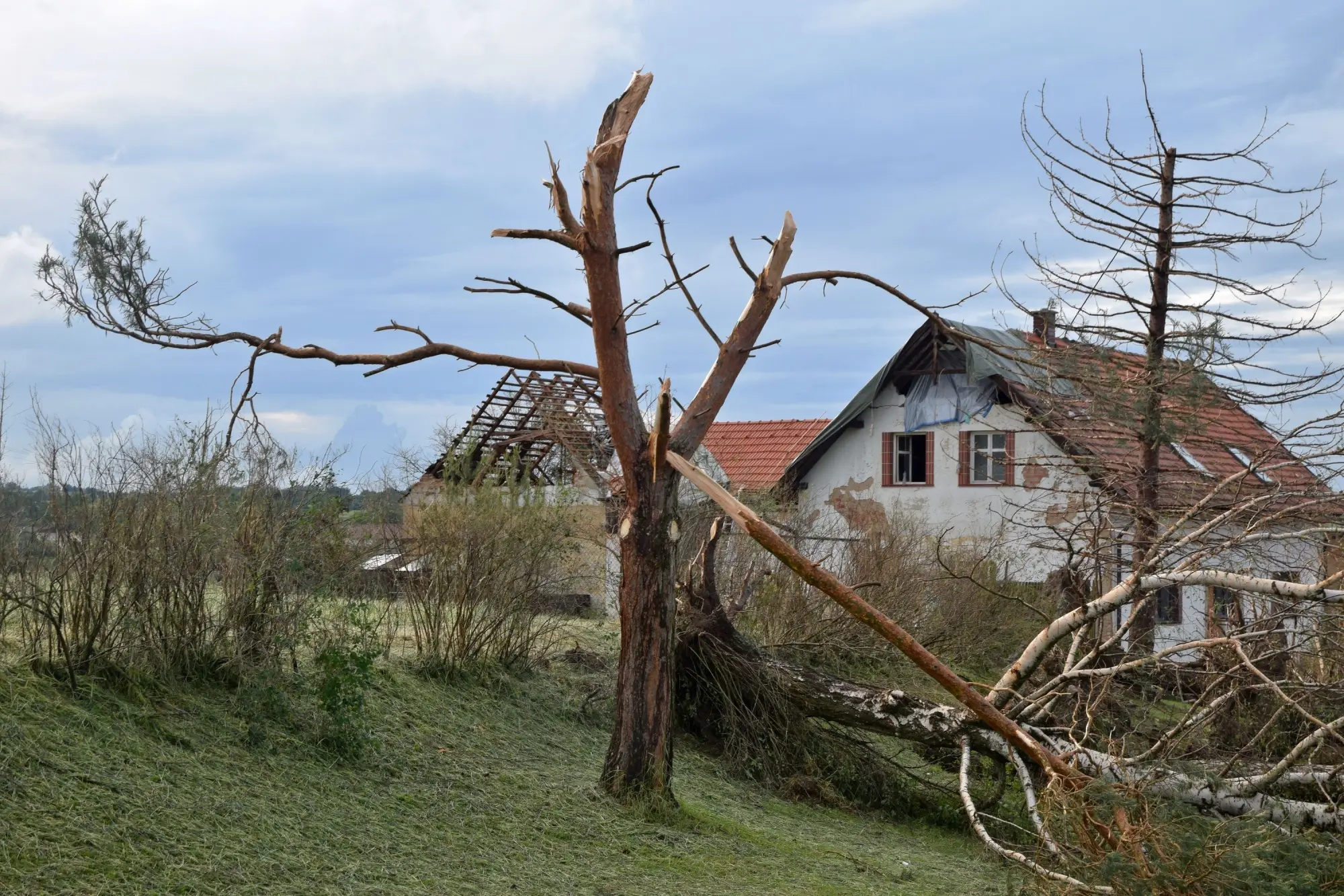 poškozený dům a vyvrácený strom následkem tornáda