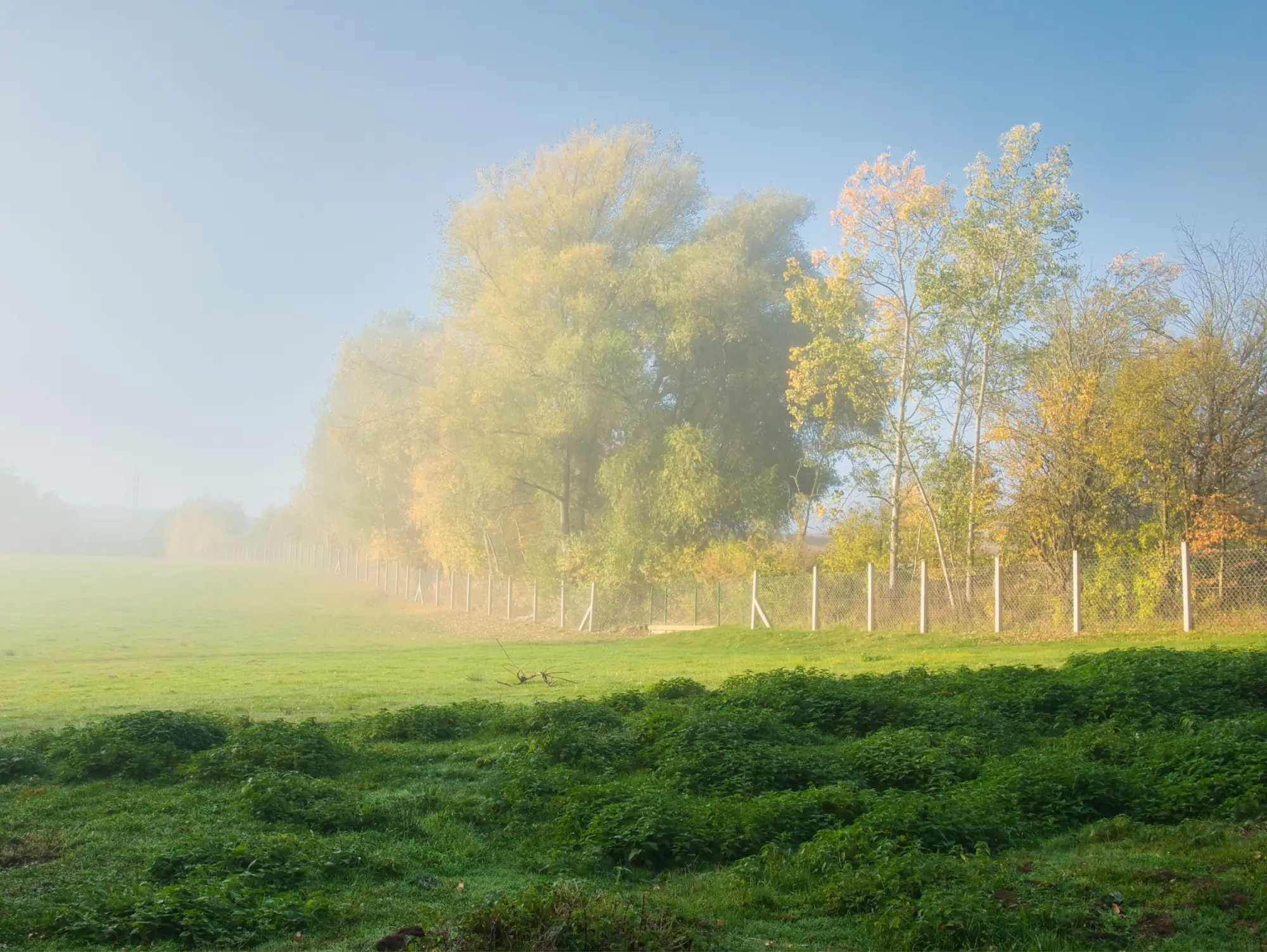 Shutterstock_2391137427 | TVGURU.cz mlha v přírodě