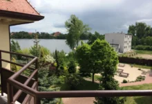 rybník v přírodě