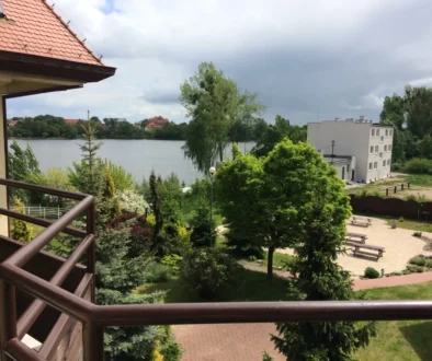 rybník v přírodě