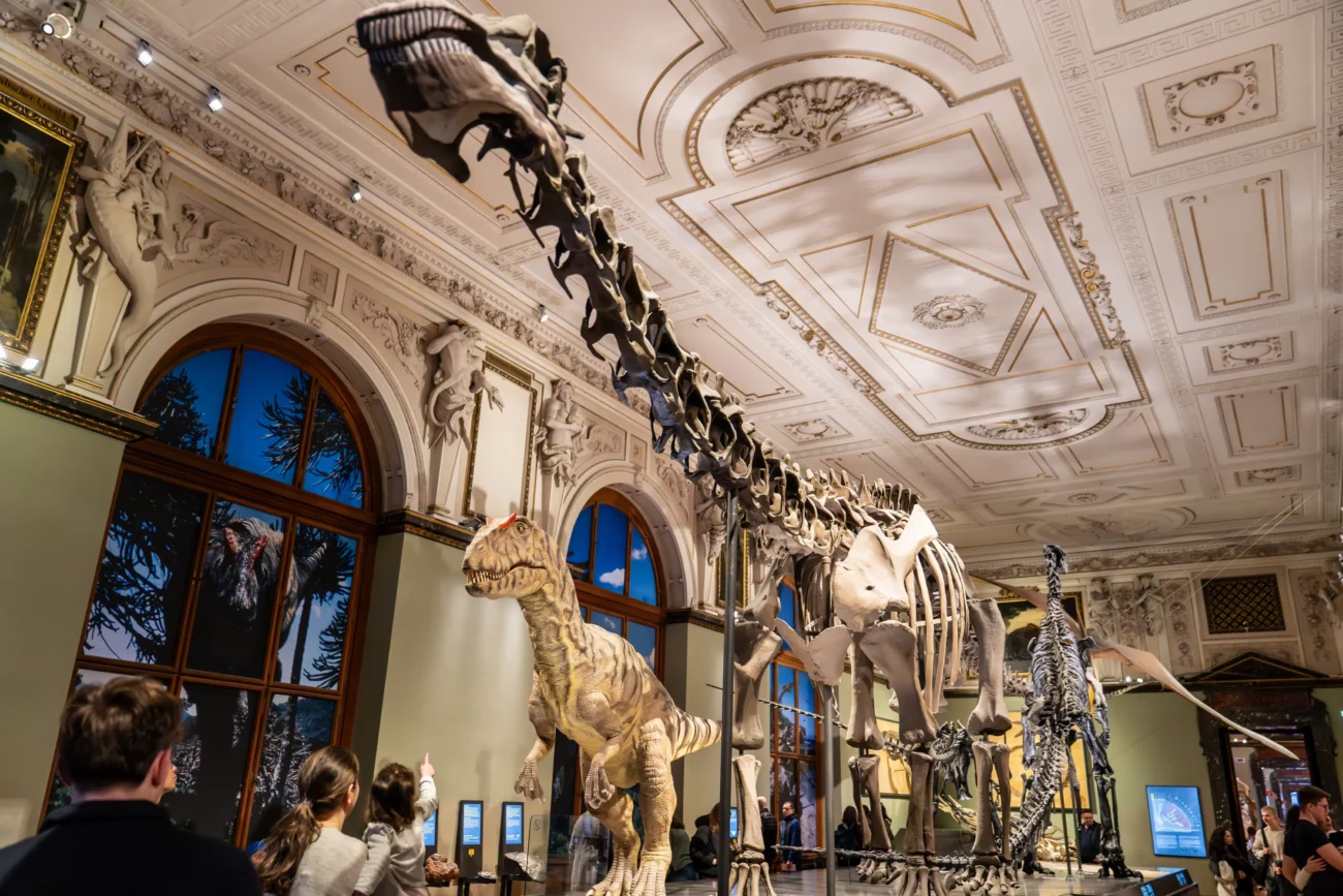 Dinosaurus v muzeu. 