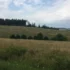 louka v Česku