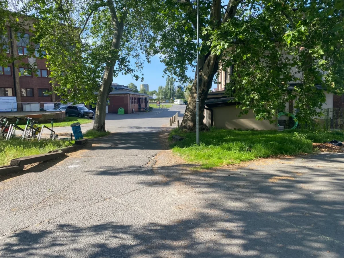 slunečné počasí venku v parku v Ostravě