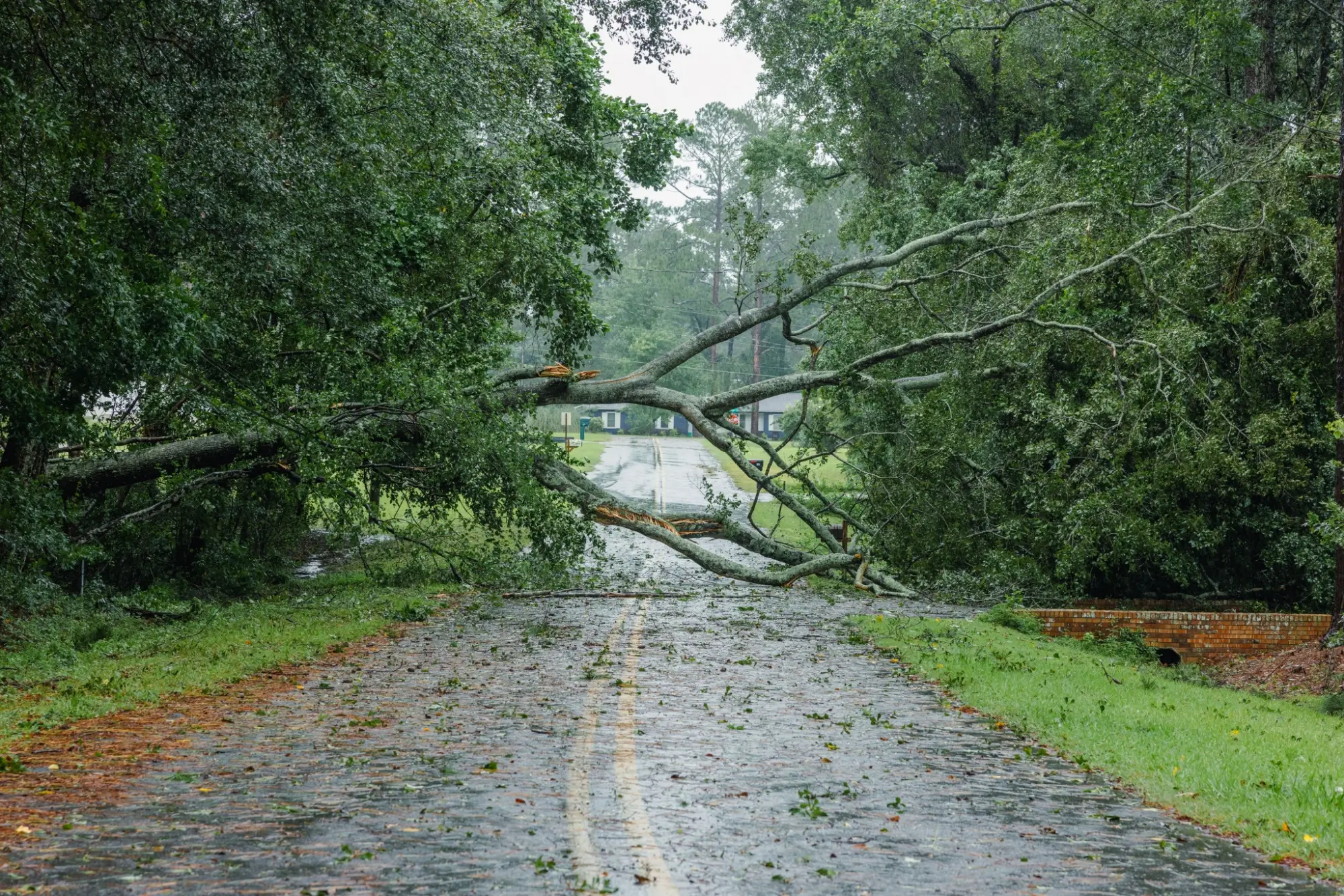 spadlý strom přes silnici po bouři