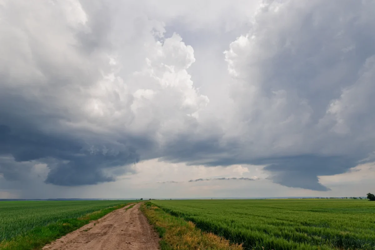 Bouře (husté mraky) nad polní cestou