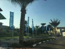 letní cesta s palmami