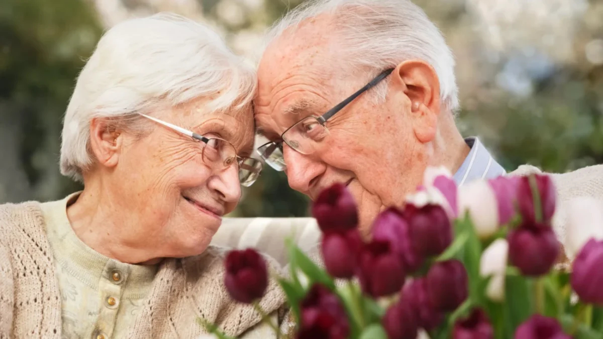 shutterstock_1575177241-2
