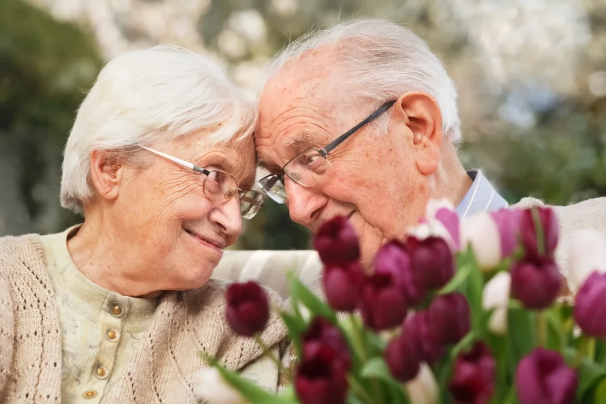 shutterstock_1575177241-2