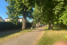 cesta v parku v létě