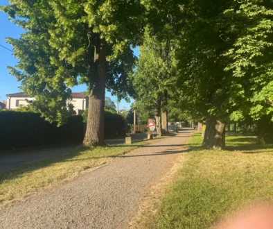 cesta v parku v létě